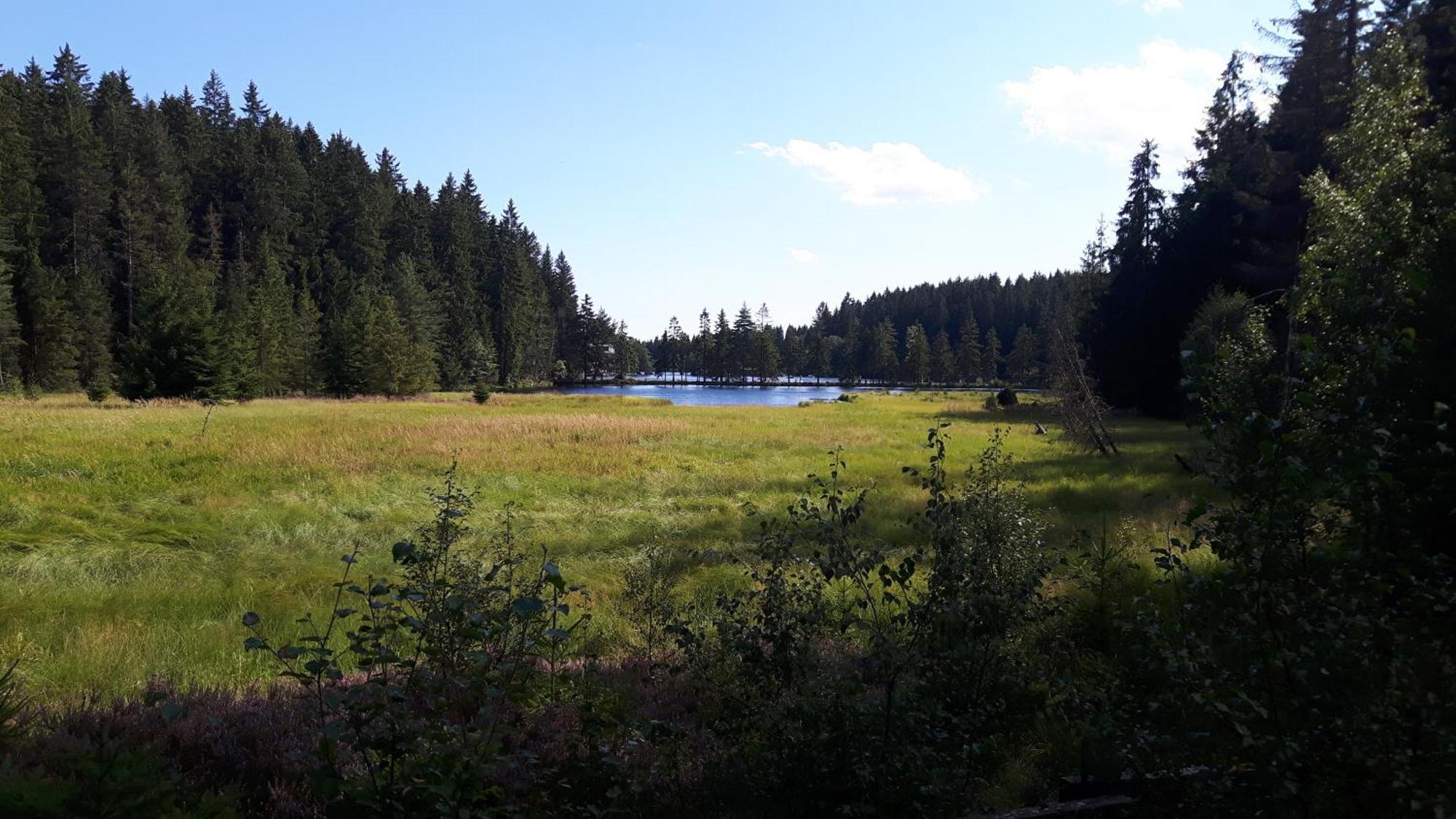 Ferienwohnung Im Bauernhaus Im Fichtelgebirge Gefrees Dış mekan fotoğraf